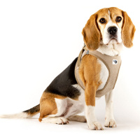 Curli Vest Harness Köpek Göğüs Tasması 49,1x55,4cm (Bej) [L]