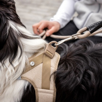 Curli Vest Harness Köpek Göğüs Tasması 49,1x55,4cm (Bej) [L]