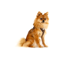 Curli Vest Harness Köpek Göğüs Tasması 26x30cm (Kahverengi) [XXXS]