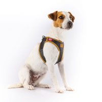 Curli Apple Leather Harness Köpek Göğüs Tasması 43,4x49cm (M) (Siyah)