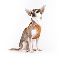 Curli Apple Leather Harness Köpek Göğüs Tasması 33,9x38,2cm (XS) (Kahverengi)