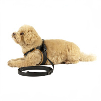 Curli Apple Leather Köpek Gezdirme Kayışı 160cm (Siyah) [S]