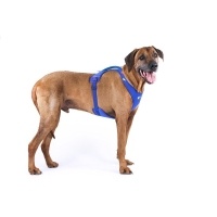 Curli Belka Harness Air-Mesh Köpek Göğüs Tasması 55,5x62,7cm (Siyah) [XL]
