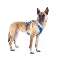 Curli Belka Harness Air-Mesh Köpek Göğüs Tasması 55,5x62,7cm (Siyah) [XL]