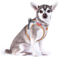 Curli Alpıne Clasp Vest Harness Köpek Tasması 50x56cm (Gri) [L]