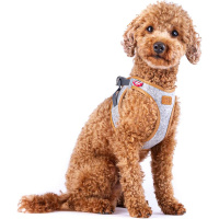 Curli Alpıne Clasp Vest Harness Köpek Tasması 30x35cm (Gri) [2XS]