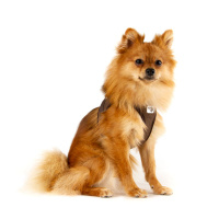 Curli Vest Harness Softshell Köpek Tasması 49,1x55,4cm (Kahverengi) [L]