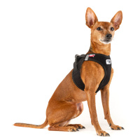 Curli Vest Harness Cord Köpek Tasması 49,1x55,4cm (Siyah) [L]