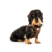 Curli Vest Harness Cord Köpek Tasması 38,3x43,3cm (Kahverengi) [S]