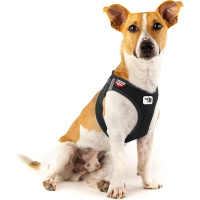Curli Vest Harness Softshell Köpek Tasması 40x45cm (Siyah) [S]