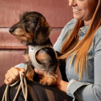 Curli Vest Harness Cord Köpek Tasması 38,3x43,3cm (Beyaz) [S]