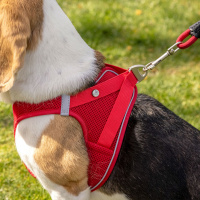 Curli Vest Harness Softshell Köpek Tasması 35x40cm (Kırmızı) [XS]