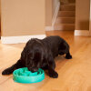 Dog Games Köpekler için Yavaş Beslenme Sağlayan Plastik Mama Kabı 27cm (Mavi)