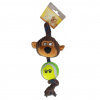 Eastland Maymun ve Tenis Toplu Diş İpi Köpek Oyuncağı 35x12cm