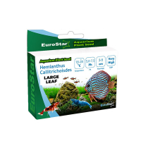EuroStar Large Leaf Base Plant Akvaryum Bitki Tohumu