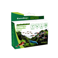 EuroStar Akvaryum Bitki Tohumu