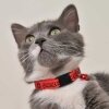 Garfield® Figürlü ve Yazılı Kedi Boyun Tasması 20-30cm (Kırmızı)