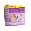 GimDog Lavantalı Çiş Pedi 60x60cm (50'li)