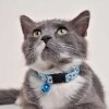Hello Kitty® Figürlü Kedi Boyun Tasması 20-30cm (Turkuaz)