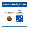 Hill's SCIENCE PLAN Tavuklu Kısırlaştırılmış Kedi Maması 8kg+2kg HEDİYE!