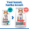 Hill's SCIENCE PLAN Somonlu Kısırlaştırılmış Kedi Maması 13kg+2kg HEDİYE!