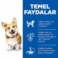 Hill's SCIENCE PLAN Tavuklu Küçük Irk Yetişkin Köpek Maması 6kg