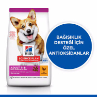 Hill's SCIENCE PLAN Tavuklu Küçük Irk Yetişkin Köpek Maması 6kg