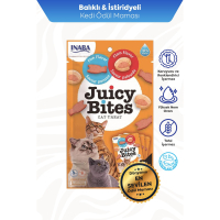 INABA Juicy Bites Balıklı ve İstiridyeli Kedi Ödül Maması 11,3gr (3'lü)