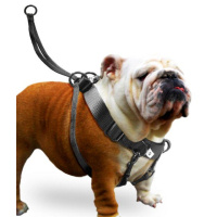 Karlie Easy Walker Köpek Göğüs Tasması 52x84cm [XL]