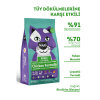 Kitty Life Tavuklu Yetişkin Kedi Maması 10kg