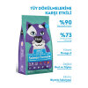 Kitty Life Somonlu Yetişkin Kedi Maması 10kg