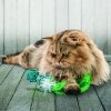 Kong Lazer Işıklı Tüylü Hasır Kedi Oyuncağı 16cm (Karışık Renkli)