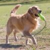 Kong Air Dog Fetch Stick İpli Sesli Tenis Topu Köpek Oyuncağı 28cm (Sarı)