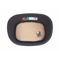 M-Pets Java Plastik Köpek Yatağı 49x36cm [S]