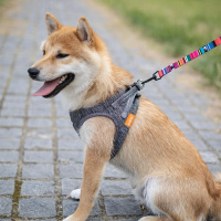 M-Pets Urban Style Jazz Köpek Gezdirme Kayışı 120cm [S]