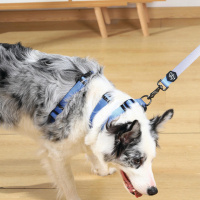 M-Pets Gentle Köpek Gezdirme Kayışı 120cm (Mavi) [L]