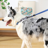 M-Pets Gentle Köpek Gezdirme Kayışı 120cm (Mavi) [L]