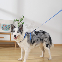 M-Pets Gentle Köpek Gezdirme Kayışı 120cm (Mavi) [L]
