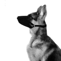 M-Pets Flexi Bez Köpek Ağızlığı 18-20cm [XS]