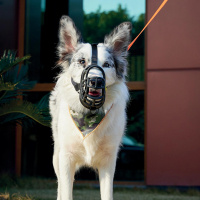 M-Pets Bark Guard Köpek Ağızlığı (Siyah-Sarı)  [XXL]