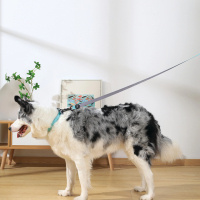 M-Pets Gentle Köpek Boyun Tasması 40-50cm (Yeşil) [L]