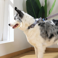 M-Pets Gentle Köpek Boyun Tasması 40-50cm (Mavi) [L]