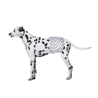 M-Pets Erkek Köpekler İçin Yıkanabilir Külot Bez 40,6x50,8cm (2'li) [L]