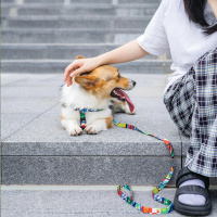 M-Pets Urban Style Freestyle Köpek Göğüs Tasması 30x40cm [XS]