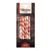 M-Pets Trusty Twisted Sticks Sığır Etli Köpek Ödül Çubuğu 12,7cm (10'lu)