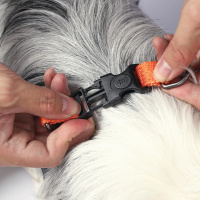 M-Pets Wild Jungle Harness Köpek Göğüs Tasması 46-70cm [M]