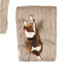 Pet Comfort Lima Varius 02 Küçük Irk Köpek ve Kedi Yatağı 40x70cm [S]