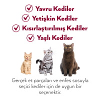 Petlebi Sos İçinde Fileto Taze Ton Balıklı ve Karidesli Kedi Konservesi 70gr