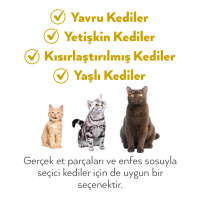 Petlebi Sos İçinde Tiftiklenmiş Taze Tavuk Etli ve Somonlu Kedi Konservesi 70gr
