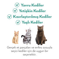 Petlebi Sos İçinde Fileto Taze Ton Balıklı Kedi Konservesi 70gr (12 Adet)
